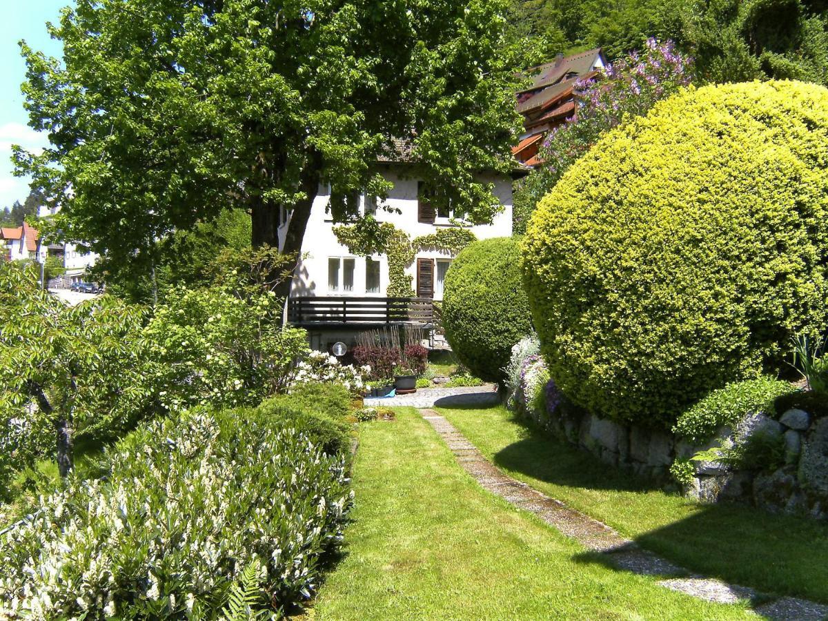 Apartment Maier-2 Triberg im Schwarzwald Exterior foto